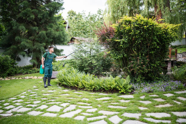 Best Pest Inspection Near Me  in White Oak, PA
