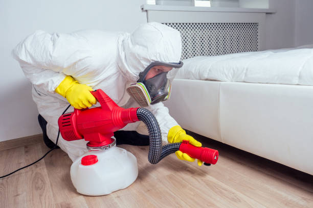 Wasp Removal Services in White Oak, PA