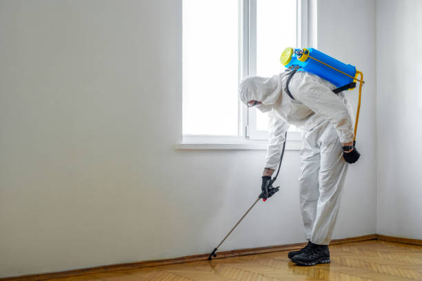 Best Pest Removal Services  in White Oak, PA