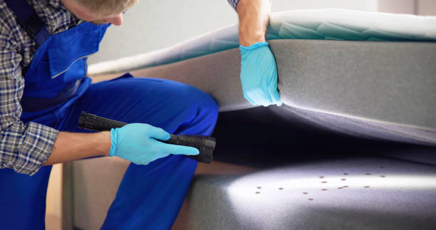 Best Mosquito Control Services  in White Oak, PA