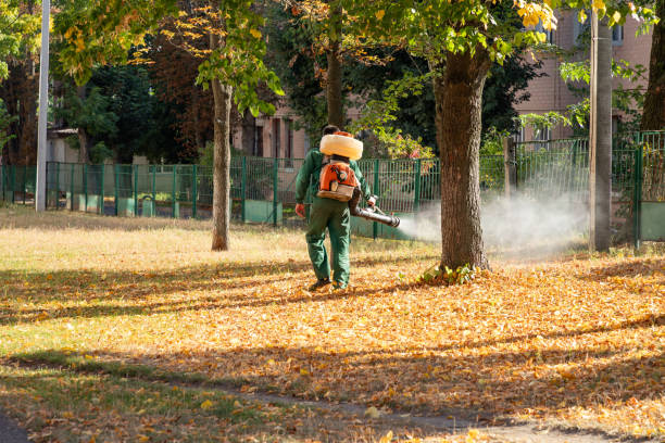Best Pest Prevention Services  in White Oak, PA